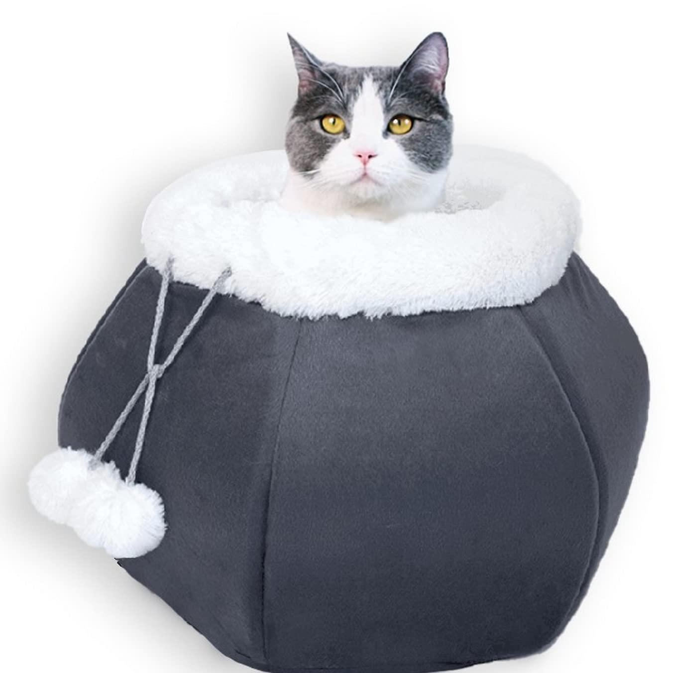 Cat sitting inside a gray pet bed with white fur on a white background