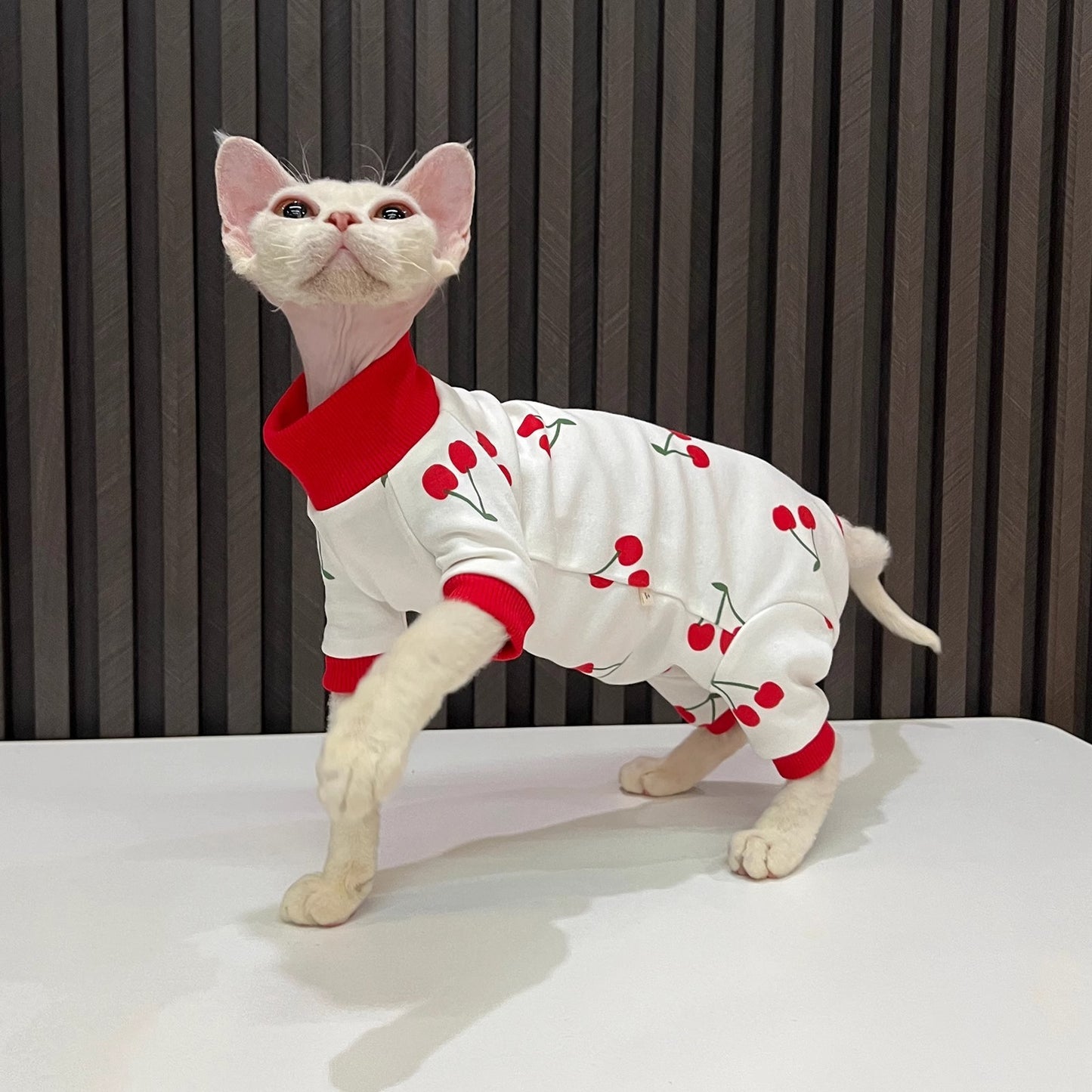 Spring And Autumn Hairless Cat All-inclusive Anti-lint Sleeved Cat Clothes - Nose n Paws