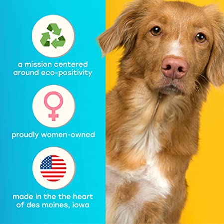 Dog with eco-positive, women-owned, and made-in-Des Moines, Iowa branding on a blue and yellow background.