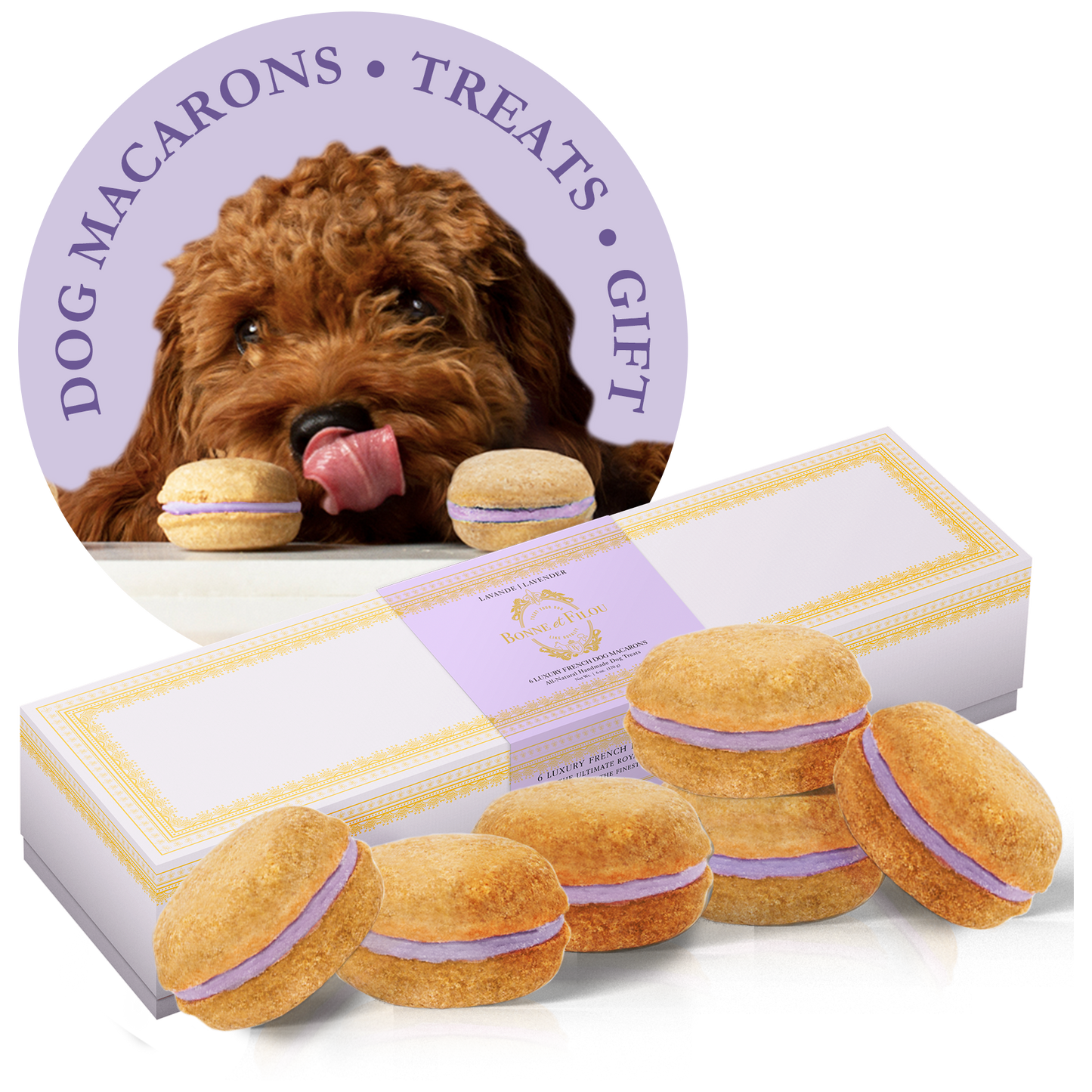 Dog macarons with a box and a small inset of a dog with a macaron.
