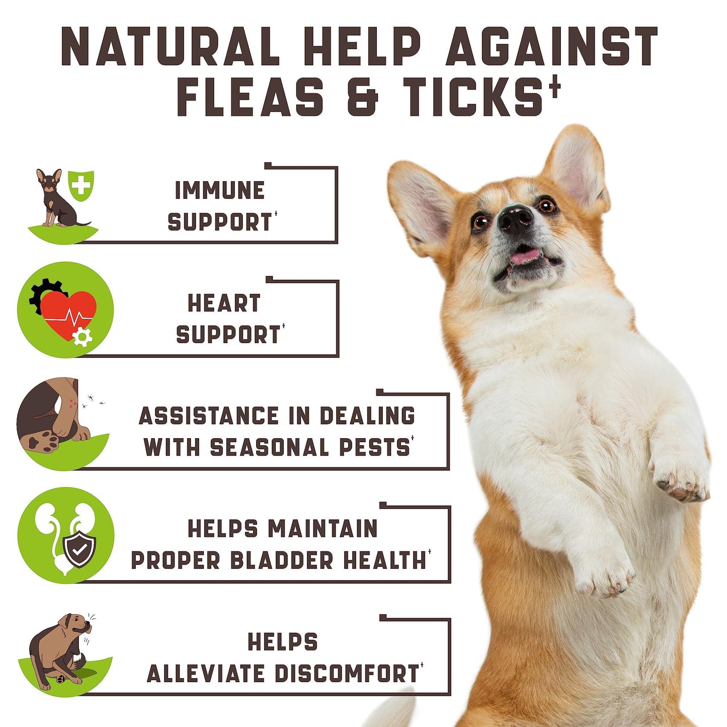 Dog standing on its hind legs with text about natural help against fleas and ticks, featuring icons and benefits listed.