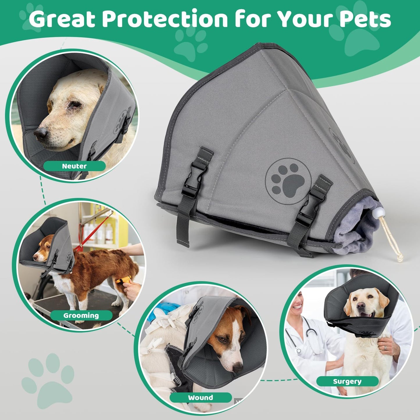 Pet Elizabethan Collar Single Layer M - Nose n Paws Pet Shop