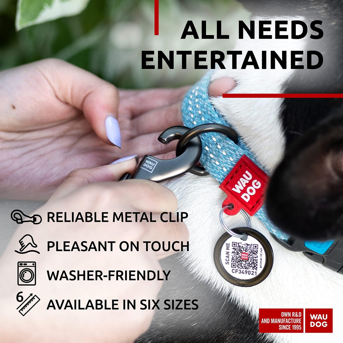 Dog collar with a metal clip being adjusted, featuring Wau Dog branding.