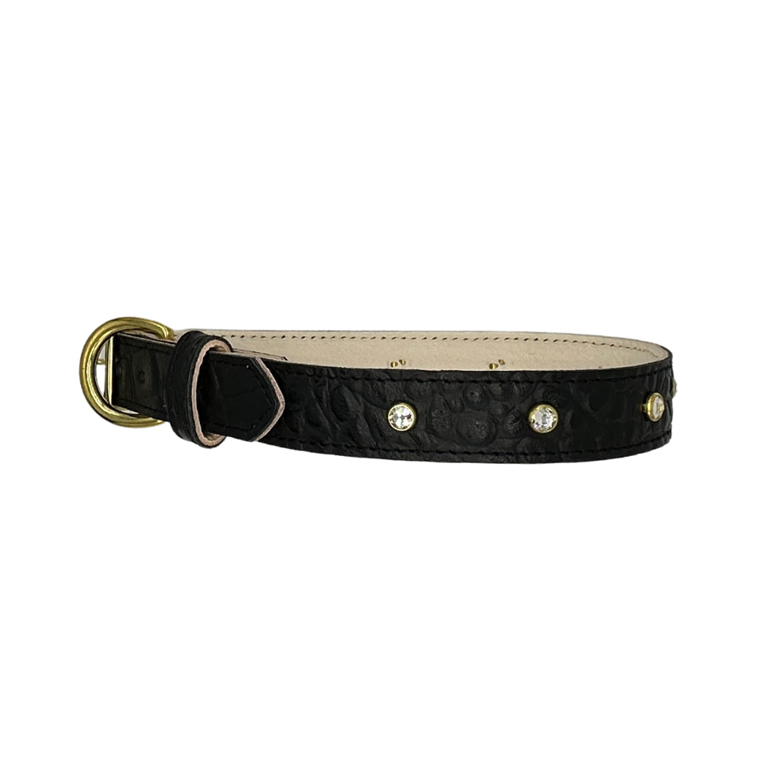 Black leather dog collar with gold accents on a white background