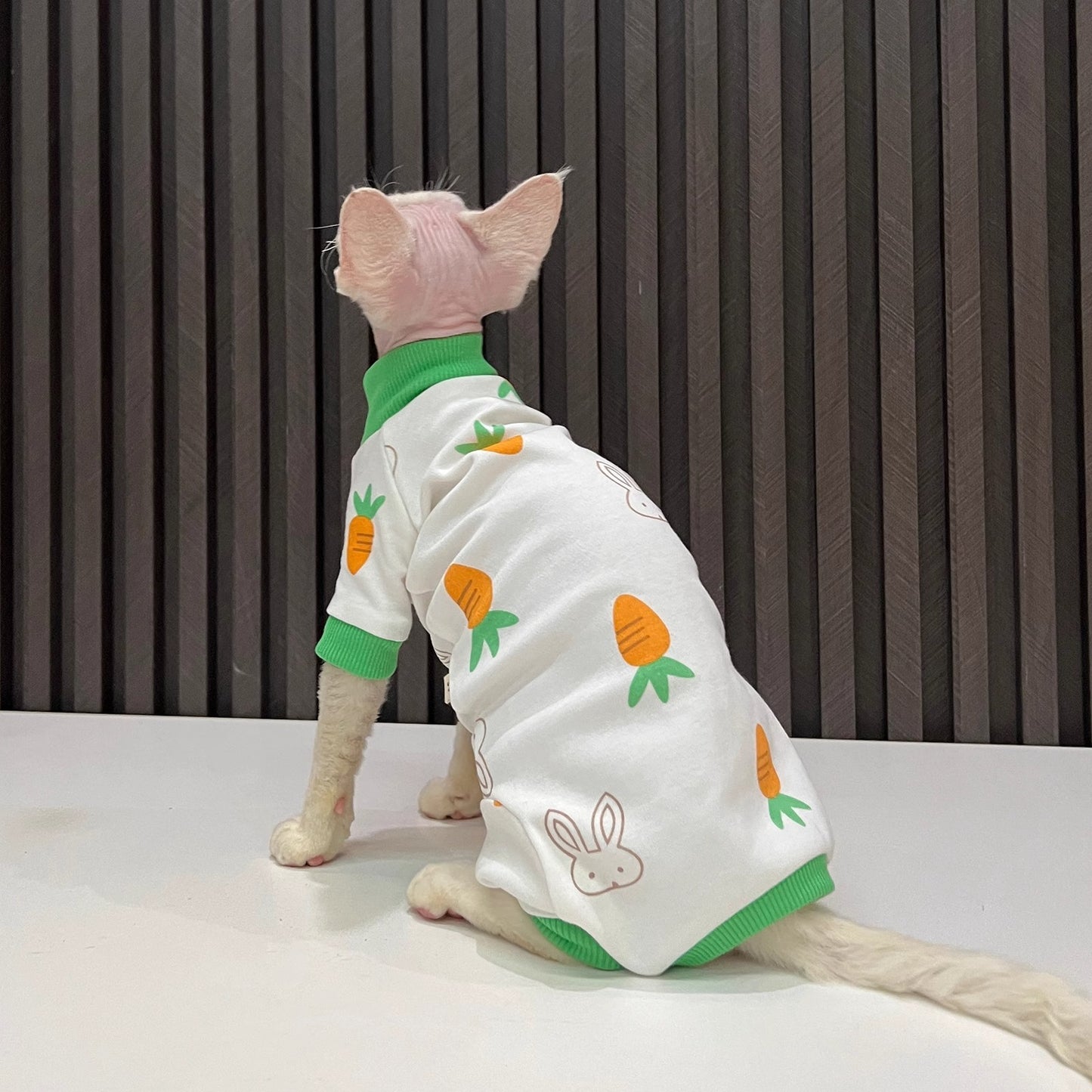 Spring And Autumn Hairless Cat All-inclusive Anti-lint Sleeved Cat Clothes - Nose n Paws