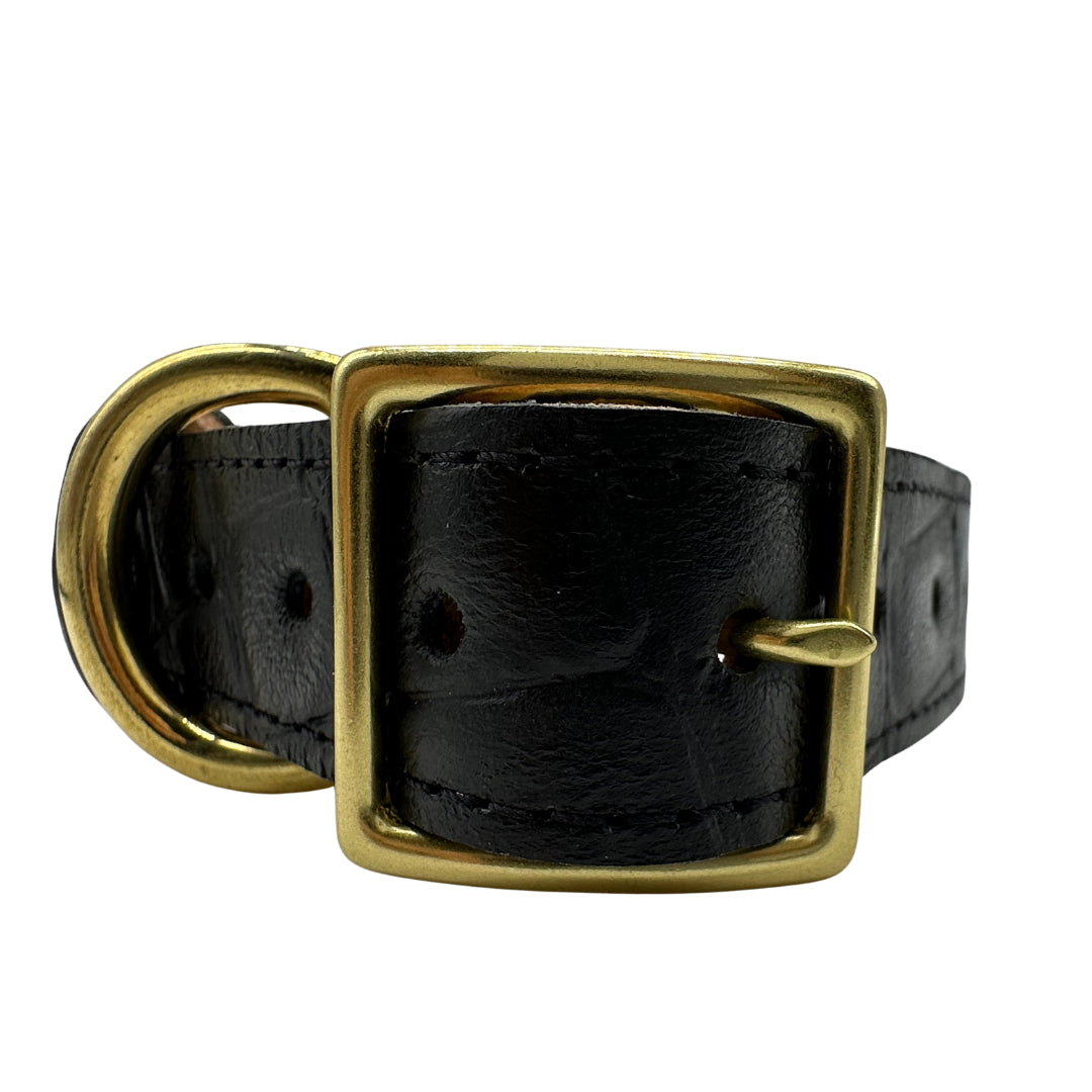 Black leather belt with brass buckle on a white background