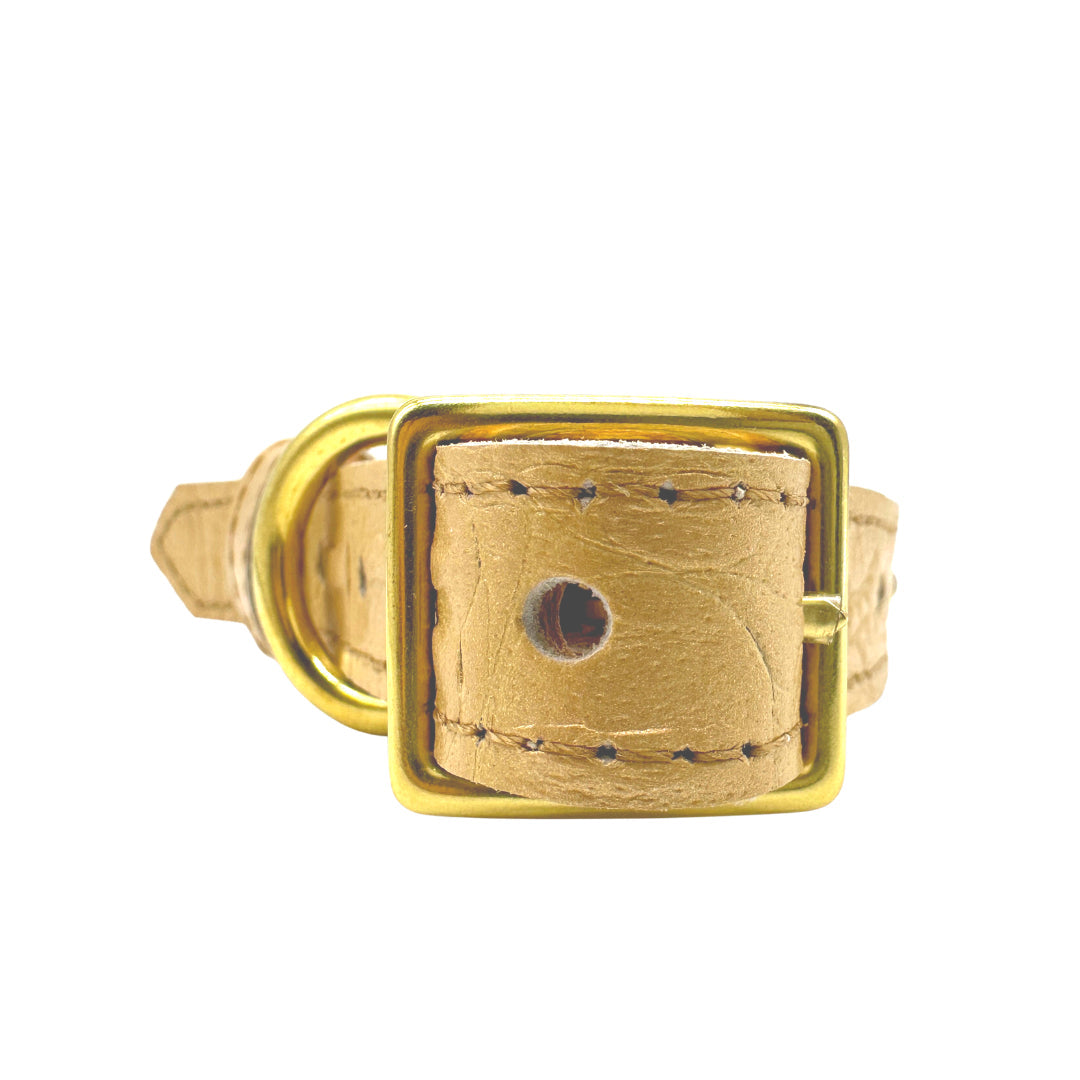 Gold belt buckle on a white background