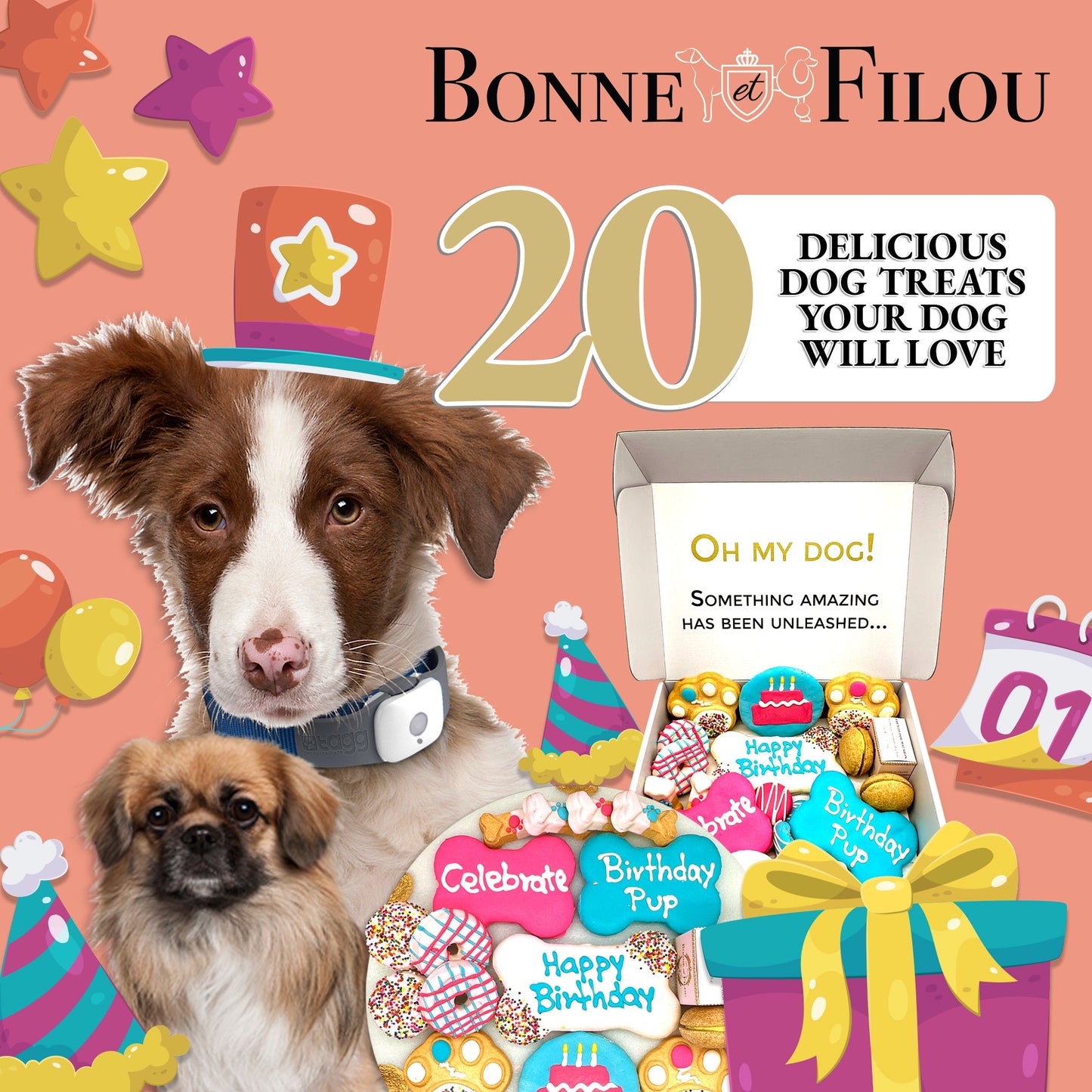 Bonne Filou dog treat packaging with two dogs and a box of treats on a pink background.