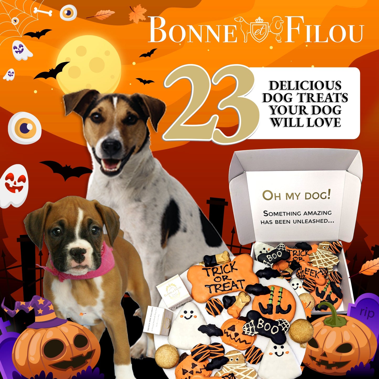 Promotional image for Bonne Filou dog treats with two dogs and a box of treats on an Halloween-themed background.