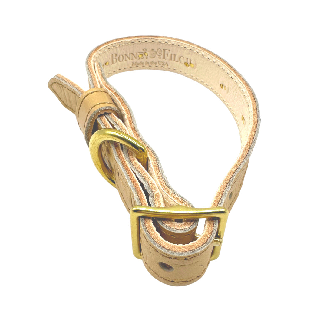 Leather strap with gold buckle on a white background