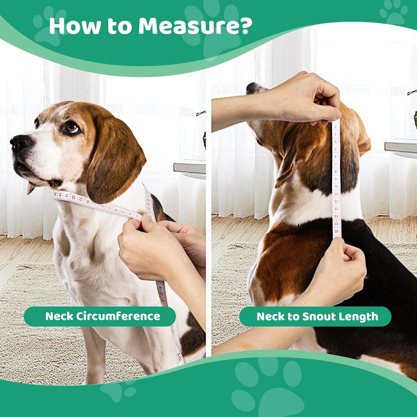 Pet Elizabethan Collar Single Layer M - Nose n Paws Pet Shop