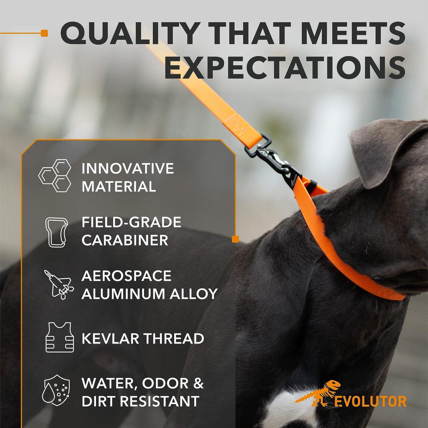 Dog leash with features listed on a gray background, featuring the Evoluter brand.