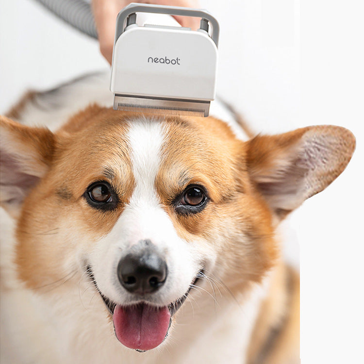 Pet Grooming Tool – Professional Shaving & Grooming Clipper for Dogs and Cats