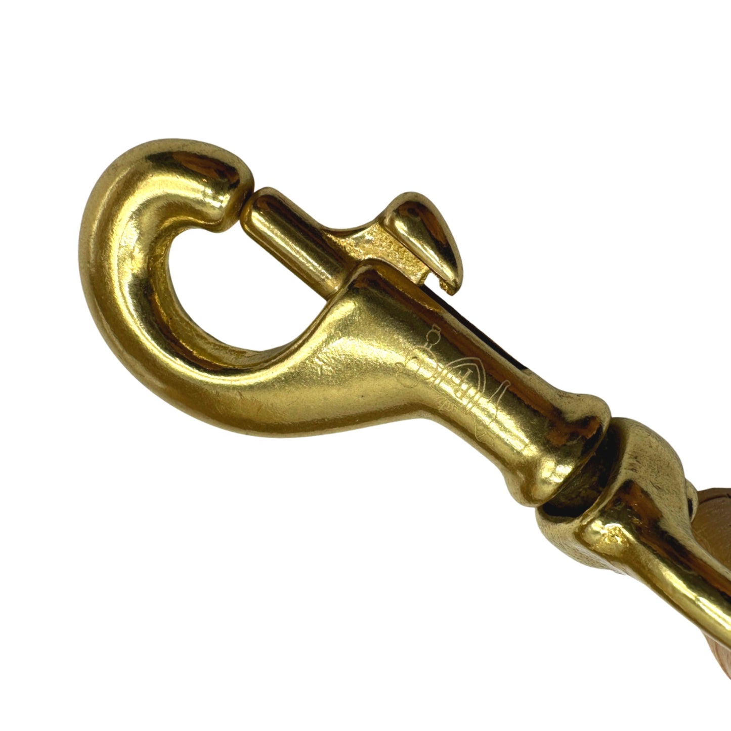 Gold metal clasp on a white background
