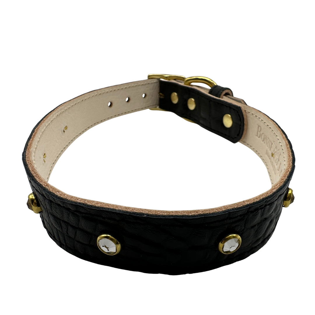 Black leather dog collar with gold studs on a white background