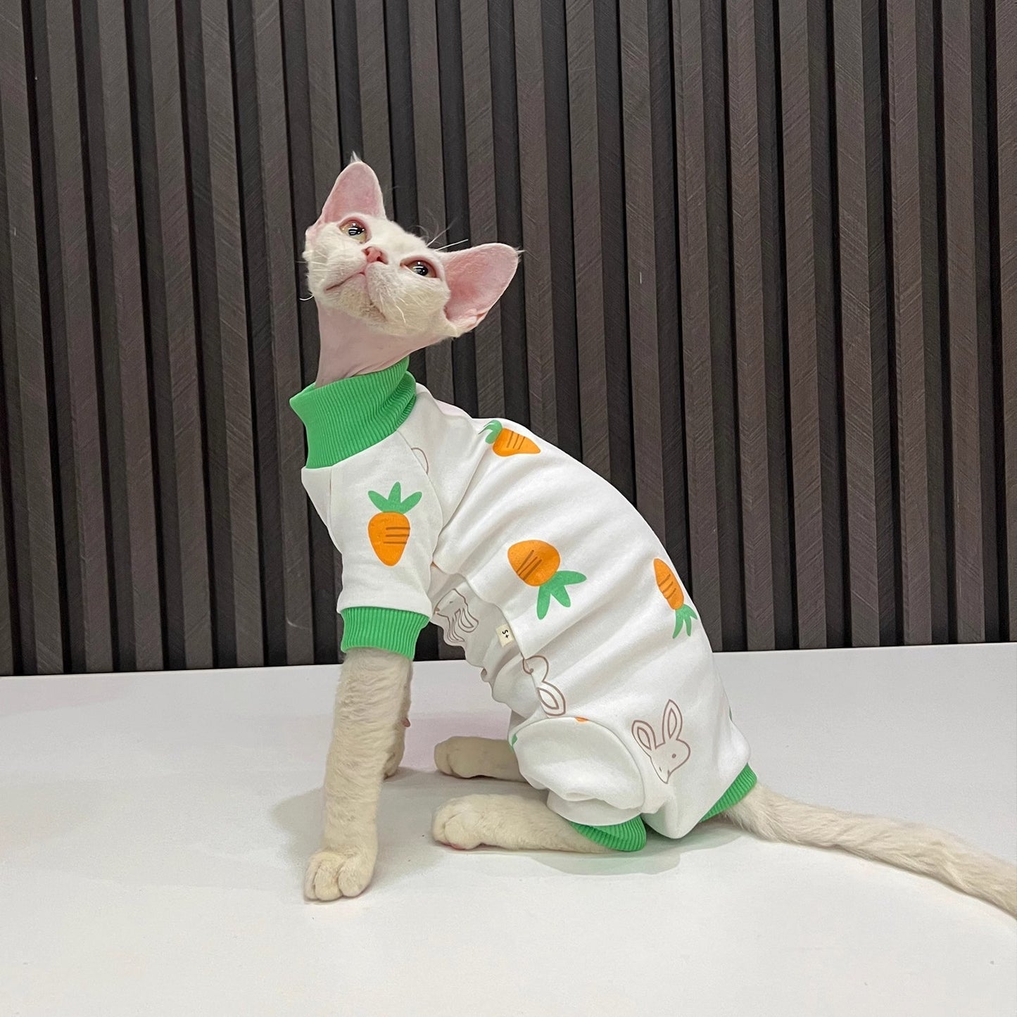 Spring And Autumn Hairless Cat All-inclusive Anti-lint Sleeved Cat Clothes - Nose n Paws