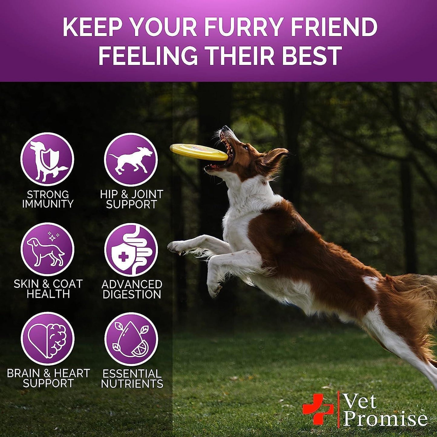 Dog catching a frisbee with health benefits listed on a dark background, featuring the Vet Promise brand.