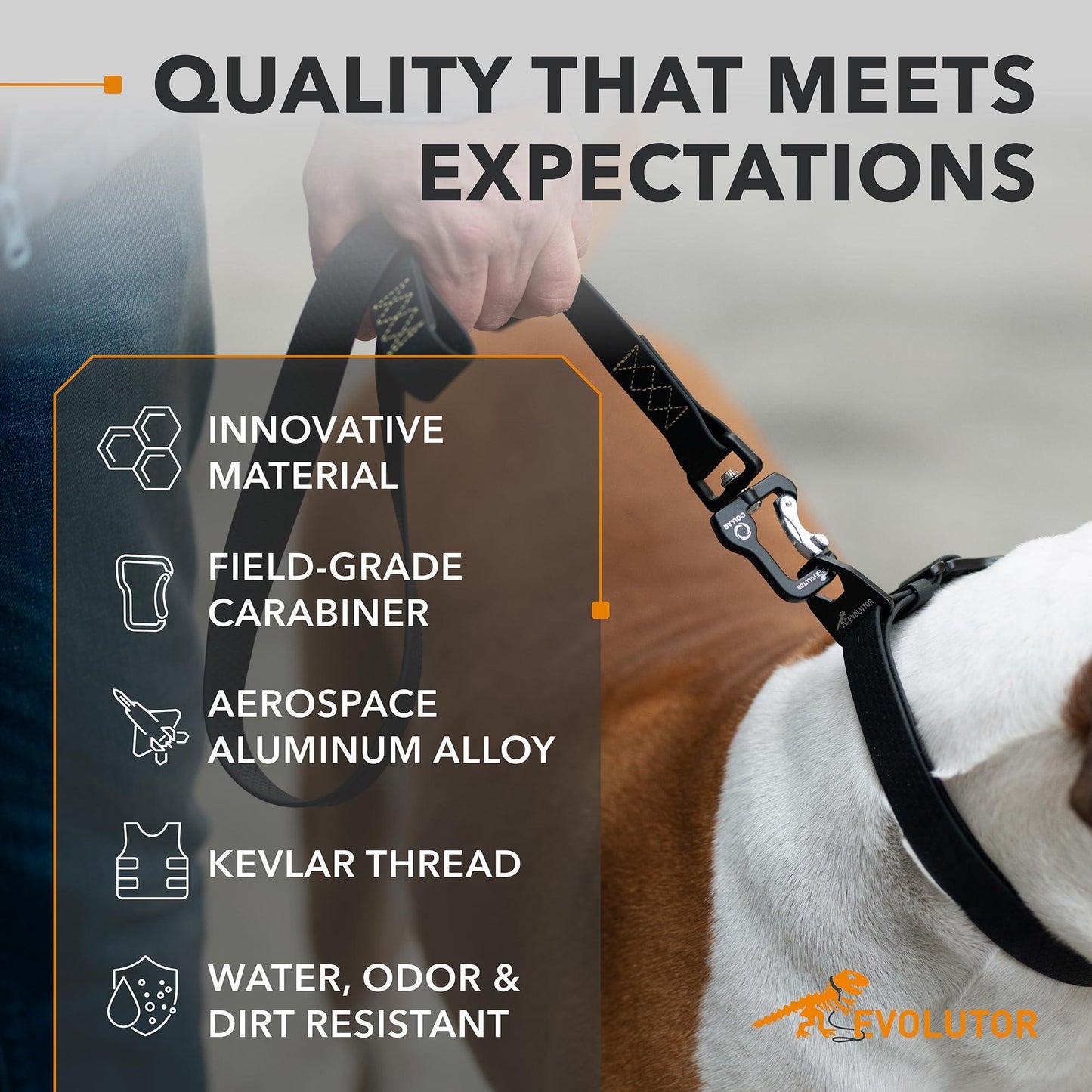 Dog leash with features highlighted on a blurred background