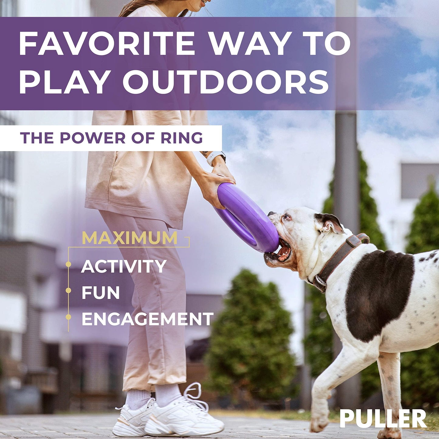 Person playing with a dog using a purple ring toy outdoors.