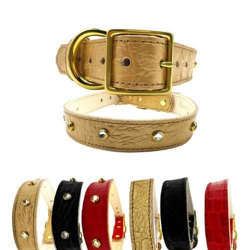 Beige leather dog collar with gold buckle and additional collars in black, red, and brown on a white background.