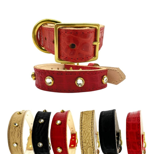 Red leather dog collar with gold accents on a white background