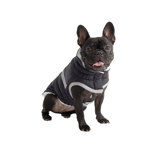 Dog wearing a black puffer jacket on a white background
