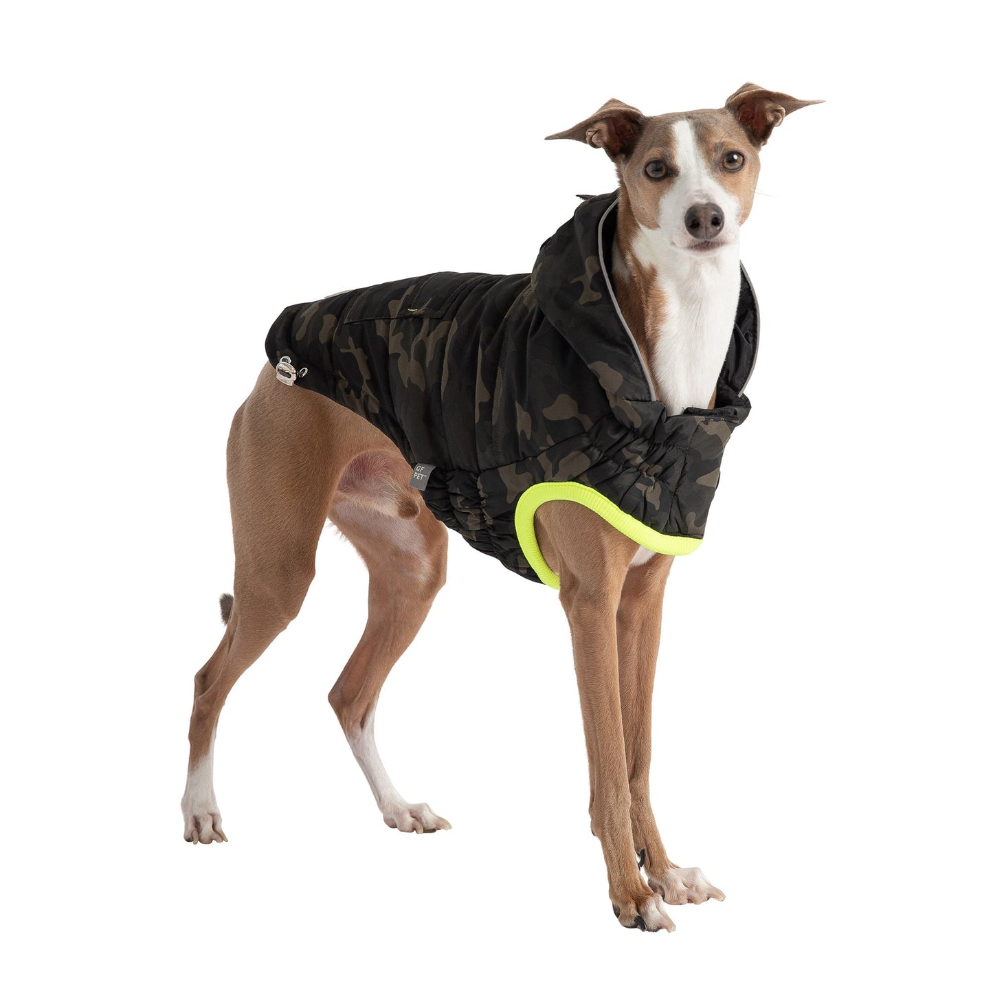 Dog wearing a black camouflage coat with a yellow trim on a white background