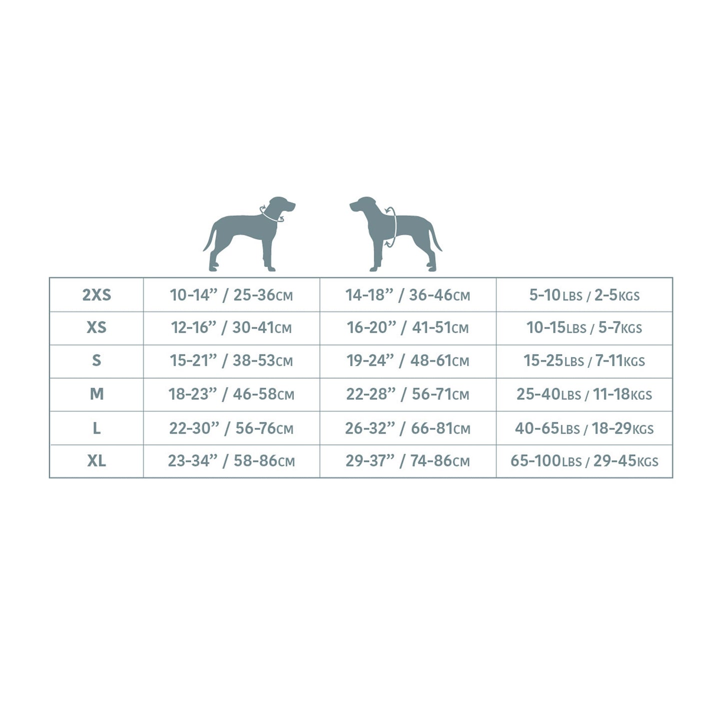 Dog size chart with measurements and weight ranges on a white background