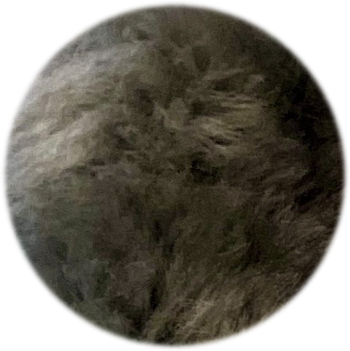 Shearling Fur Grip (Standalone) - Nose n Paws Pet Shop