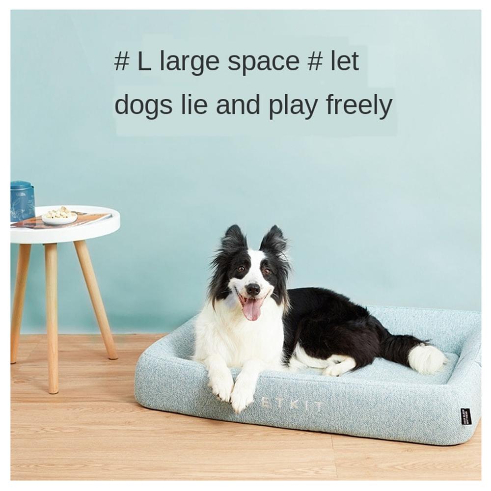Dog lying on a large dog bed with a light blue background and text encouraging dogs to play freely.
