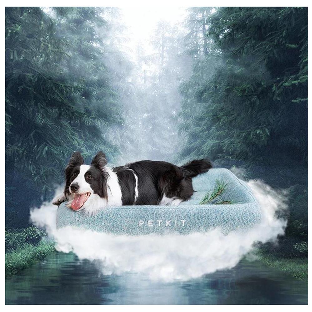 Dog lying on a PETKIT pet bed in a forest setting