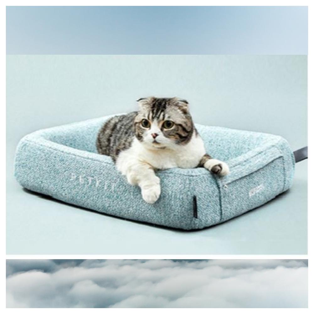 Cat lying on a light blue pet bed with a soft cloud background