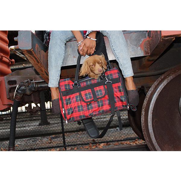 Person holding a red plaid pet carrier with a small dog peeking out, standing on train tracks.