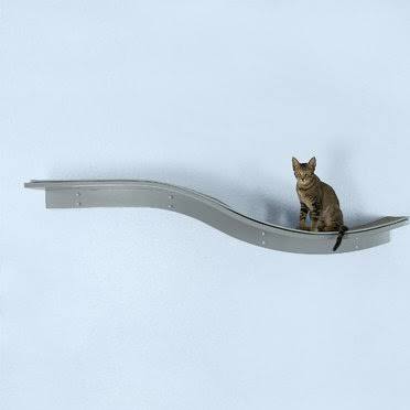 Cat sitting on a metal cat shelf against a light blue background