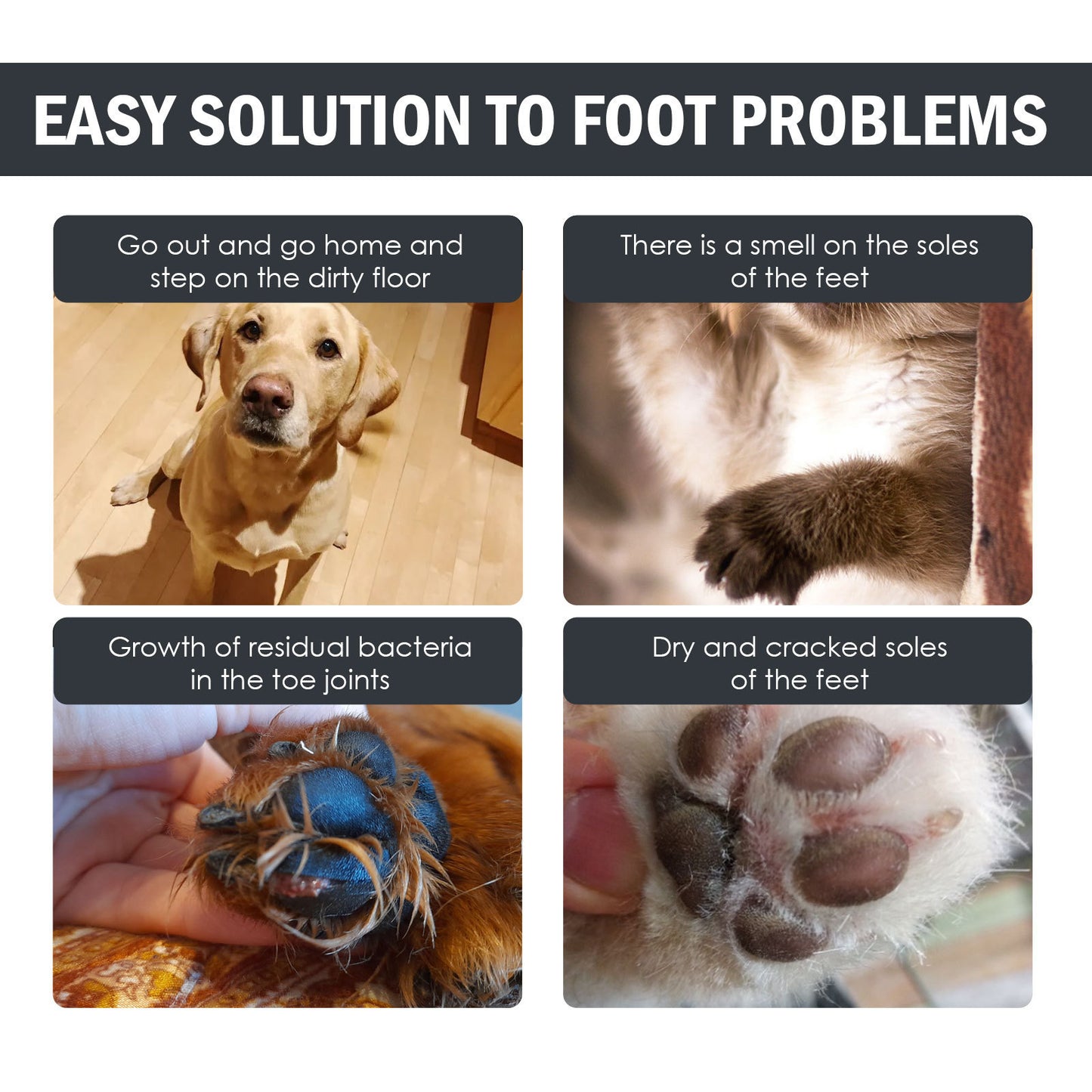 Dog Paw Care Mat Solution – Soothe, Clean & Protect Your Pup’s Paws
Give your dog’s paws the care they deserve with our Dog Foot Mat Care Solution—a gentle, nourishing formula designed to clean, soothe, and protect tired or irritated paws after walks or play. Perfect for use with paw-cleaning mats or massage pads, this solution helps remove dirt while hydrating paw pads with natural, pet-safe ingredients.
Whether it’s hot pavement, rough trails, or cold winter walks, this paw wash offers relief and ke