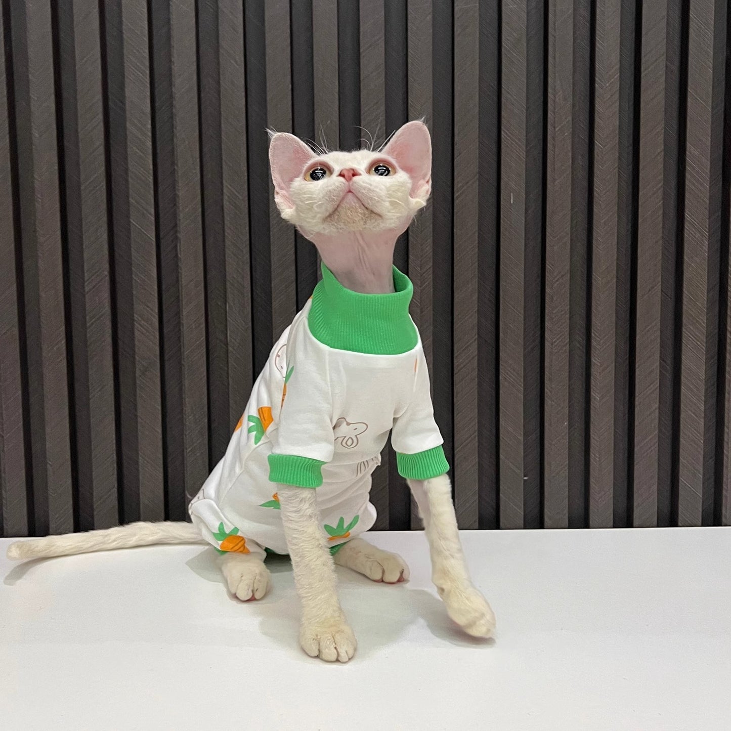 Spring And Autumn Hairless Cat All-inclusive Anti-lint Sleeved Cat Clothes - Nose n Paws