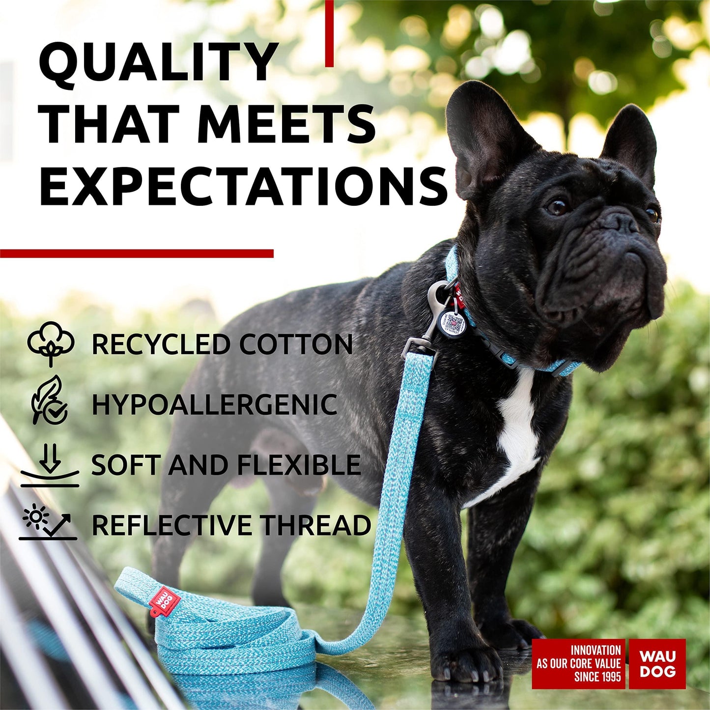 Dog wearing a blue leash with product features listed, outdoors.