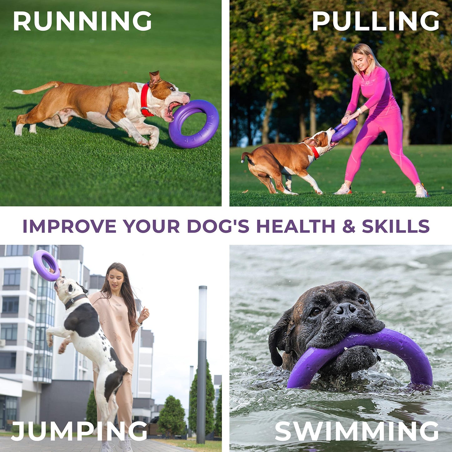 Four images showing a dog playing with a purple toy labeled 'Running', 'Pulling', 'Jumping', and 'Swimming' with text about improving a dog's health and skills.