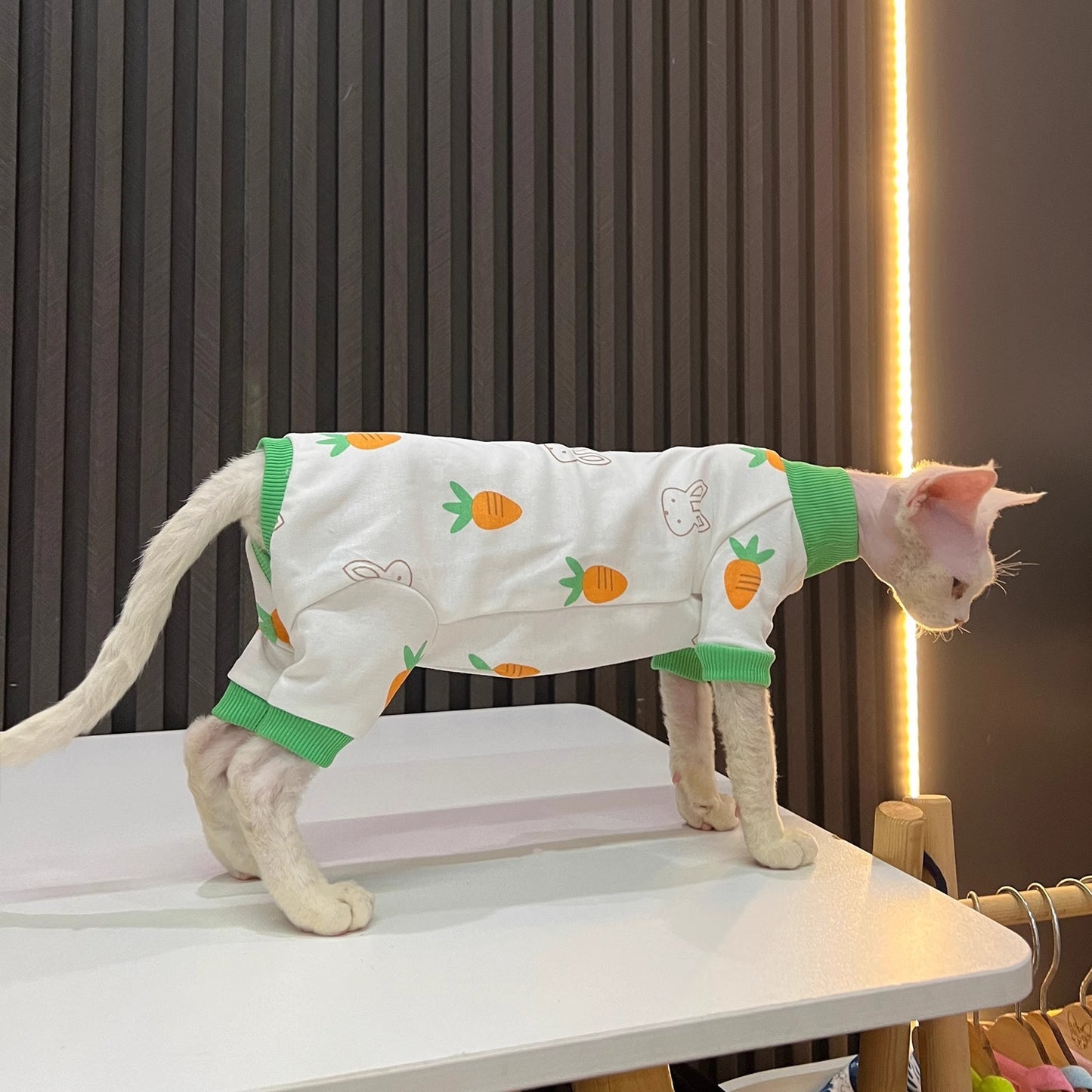 Spring And Autumn Hairless Cat All-inclusive Anti-lint Sleeved Cat Clothes - Nose n Paws