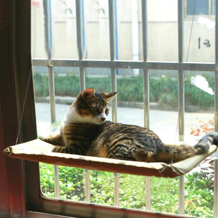 Cat lounging on a window-mounted pet hammock with a view of greenery outside.