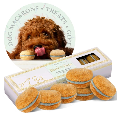 Dog macaron treats with a box and a circular inset of a dog with a macaron.