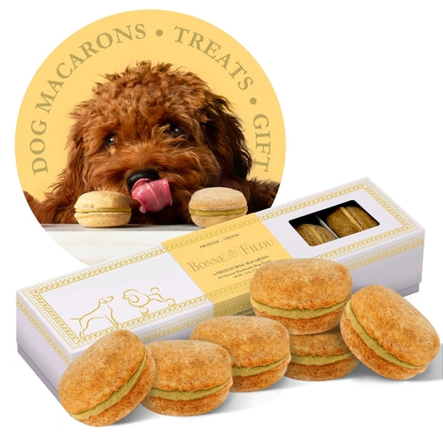 Dog macaron treats in a box with a dog's face on the packaging.