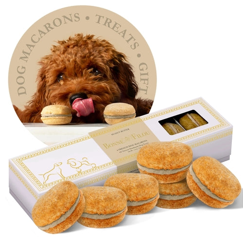 Dog macaron treats with a box and a circular inset of a dog with macarons.