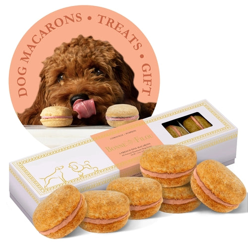 Dog macaron treats in a box with a dog's face in the corner