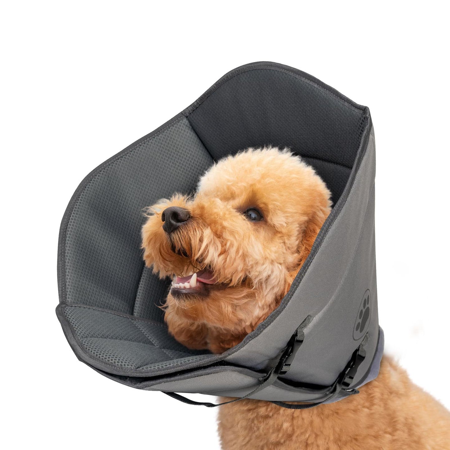 Pet Elizabethan Collar Single Layer M - Nose n Paws Pet Shop