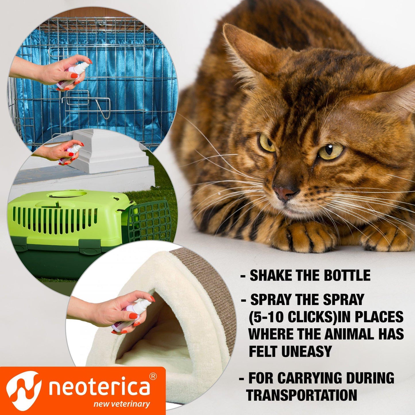 Beloved Pets Calming Pheromone Spray & Scratch Repellent for Cats - Nose n Paws Pet Shop
