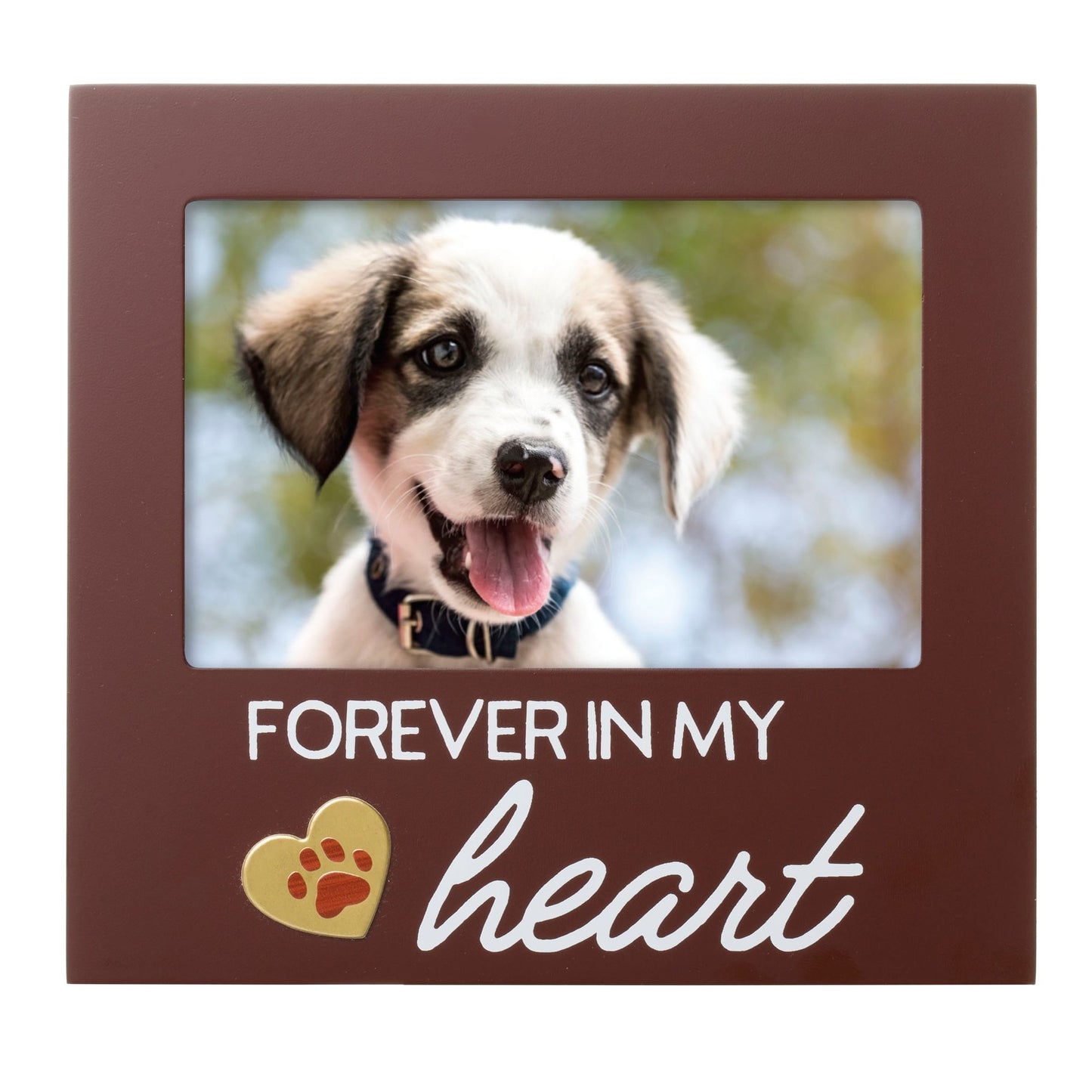 Forever in My Heart Dog Memorial Frame - Nose n Paws Pet Shop