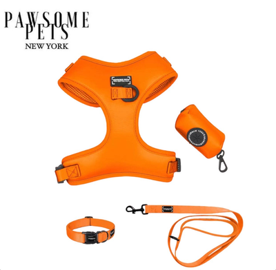 Harnesses, Leads & Collars