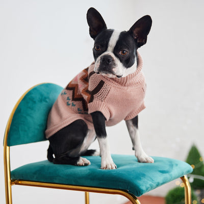 Dog Fashion