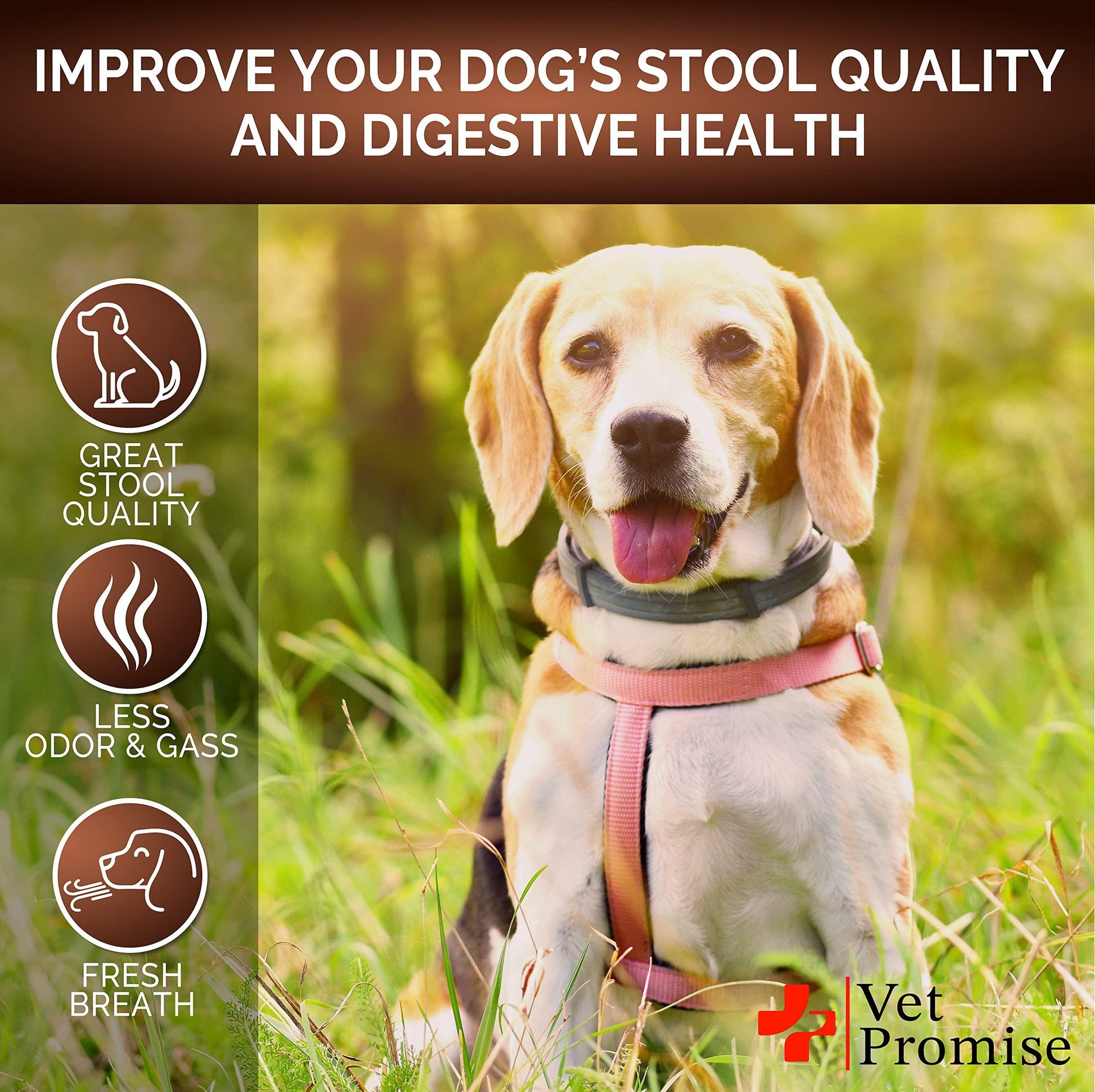 Dog sitting in grass with text about improving stool quality and digestive health, featuring the Vet Promise brand.